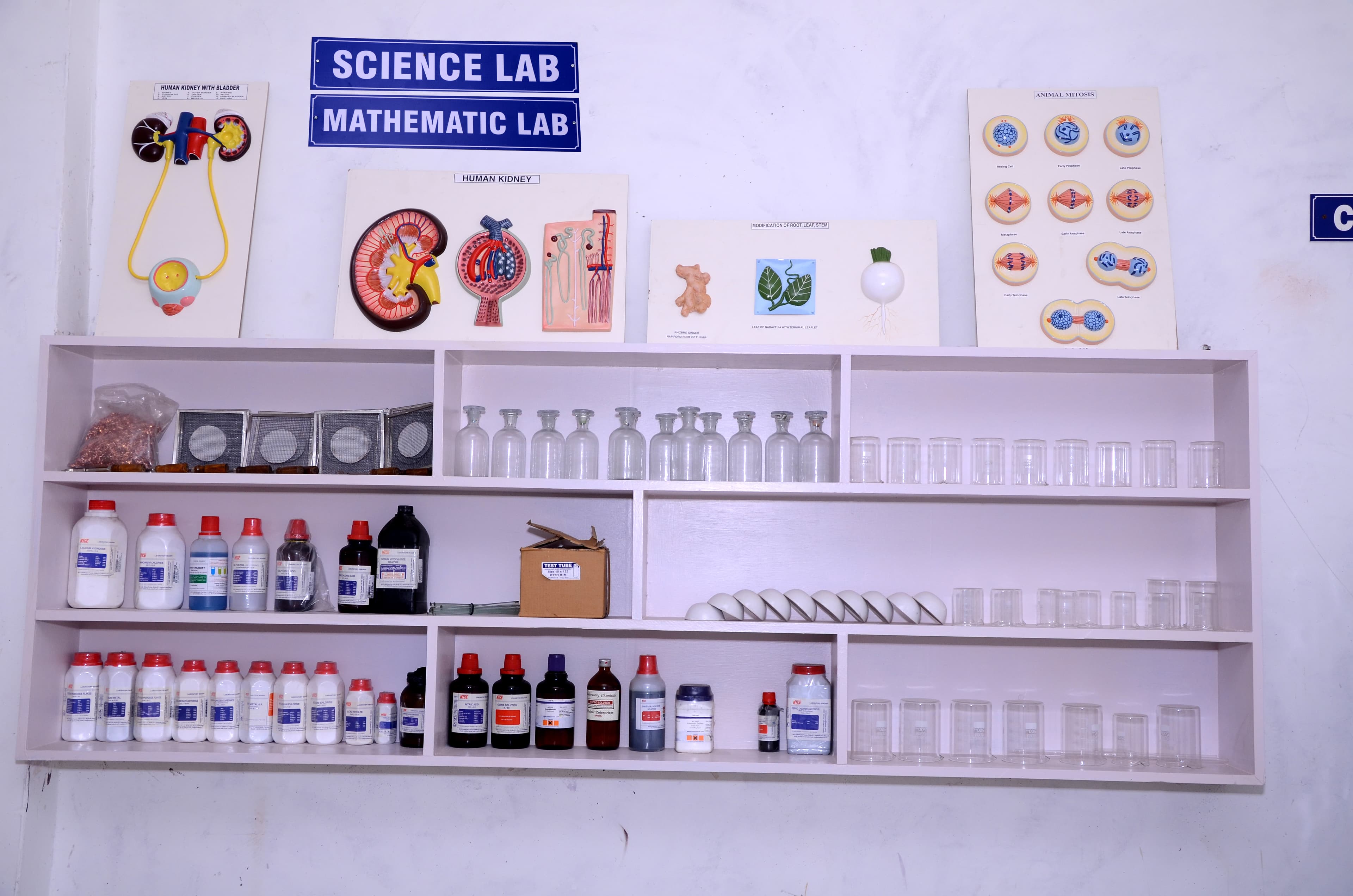Science Lab 4